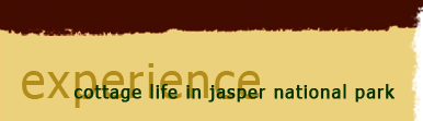 experience cottage life in jasper national park