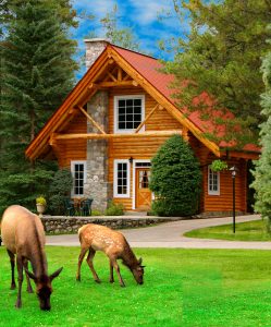 Exterior of Deluxe family cabin with elk