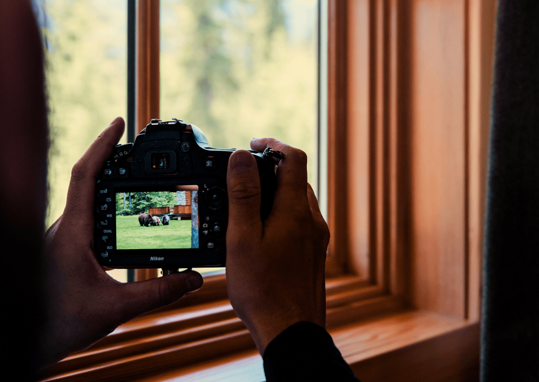 A person holding a camera inside their cabin at alpine village taking a picture of bears roaming around outside.